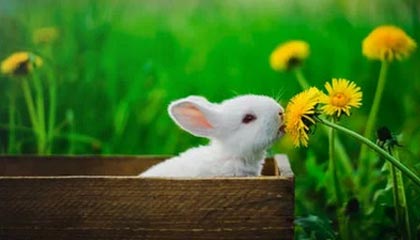 天津2026年最新北京商务伴游经纪招聘渠道分享(最方便真实的天津北京爱特博旅运服务有限责任公司招聘方法)